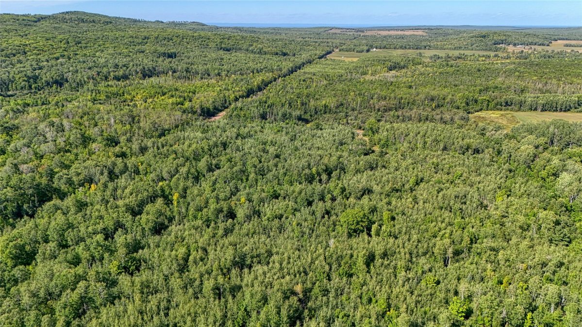 26615 Star Route Road, Bayfield WI 54814 - Land house for sale - MLS #1604800 - image9