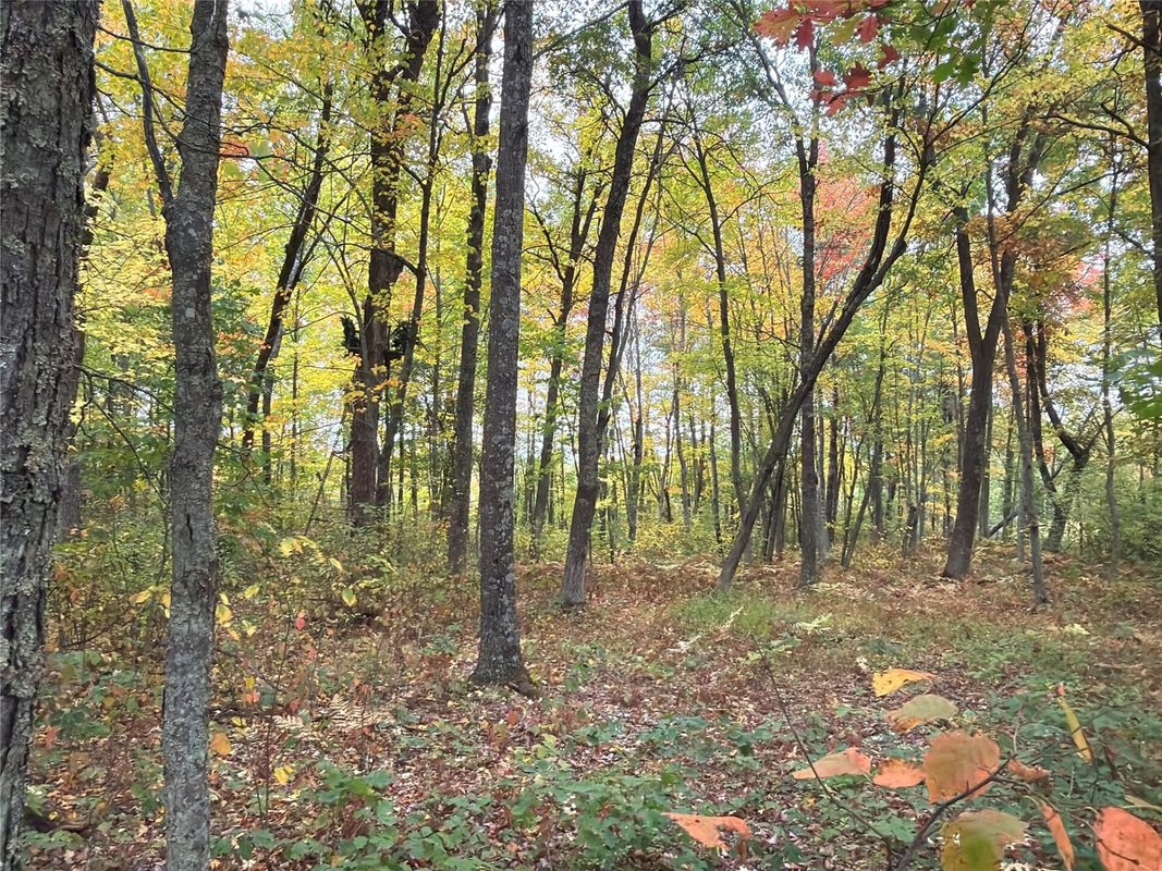 0 Klarquist Road, Webster WI 54840 - Land house for sale - MLS #1605651 - image13
