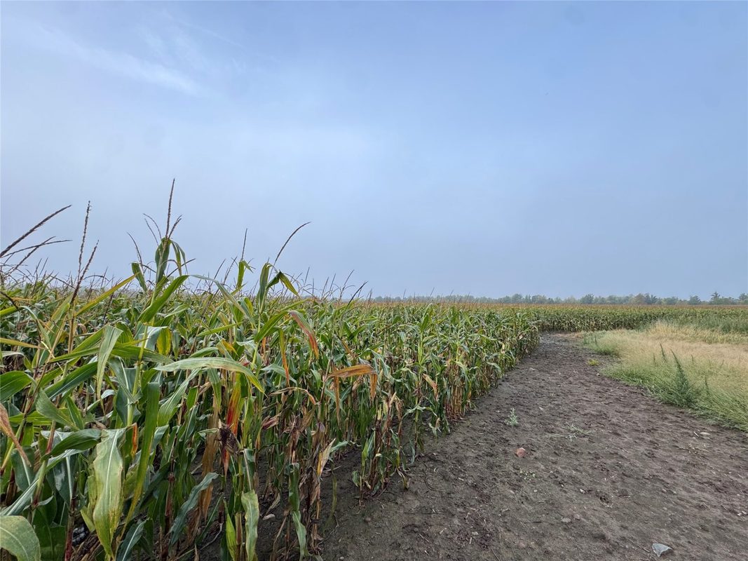 000 Miller Avenue, Owen WI 54460 - Land house for sale - MLS #1605509 - image21