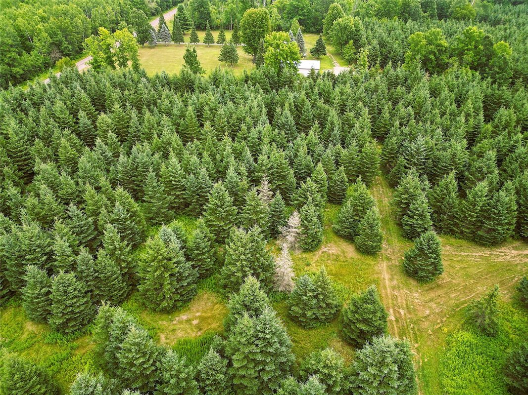 W9603 Ducommun Road, Ladysmith WI 54848 - Residential house for sale - MLS #1603659 - image43