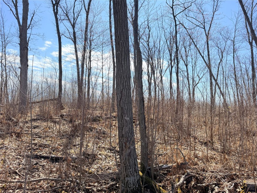 Lot 4 160th Avenue, Turtle Lake, WI — photo 12