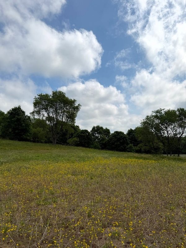 Lot 2 County Road F, Boyceville WI 54725 - Land house for sale - MLS #1601758 - image11