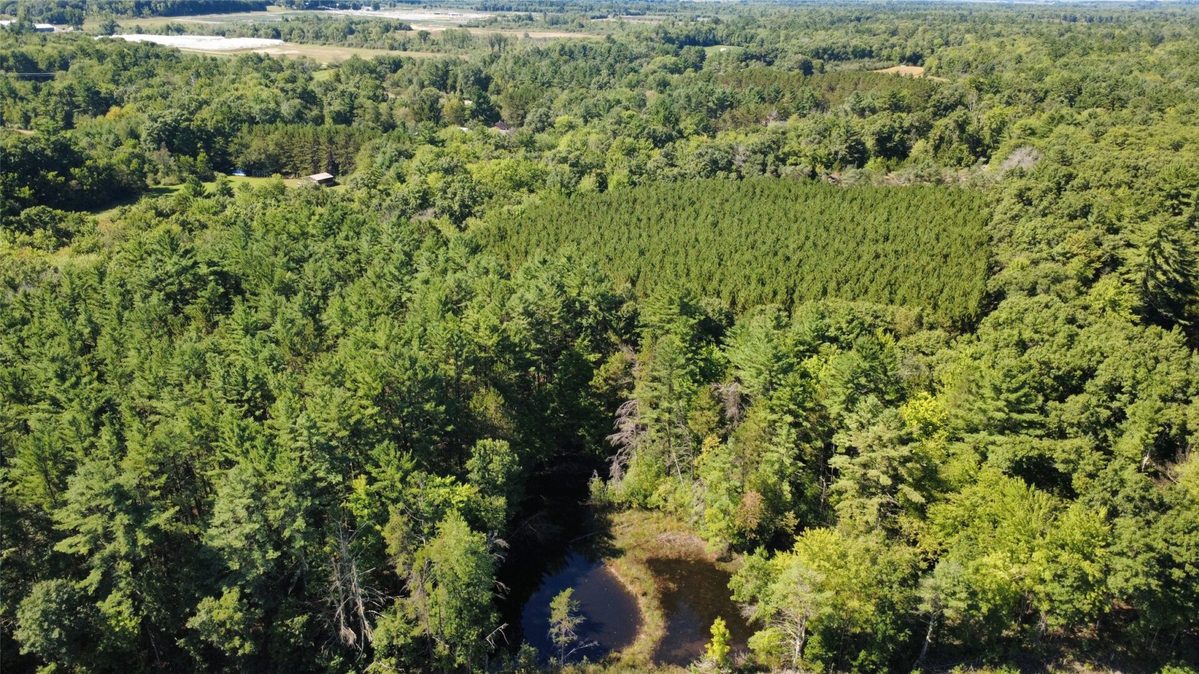 101 Old Highway 12, Merrillan WI 54754 - Residential house for sale - MLS #1604805 - image20