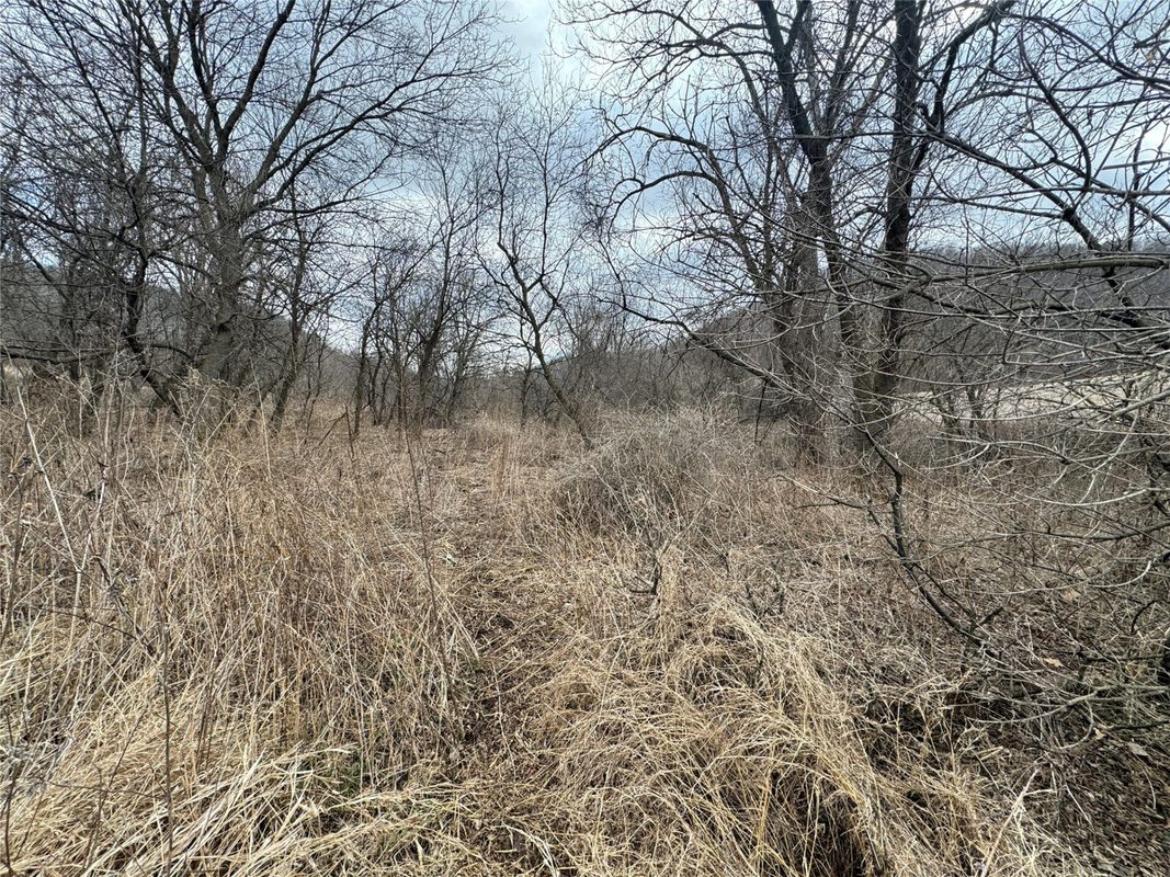 W1310 Earney Road, Alma WI 54610 - Residential house for sale - MLS #1604945 - image38