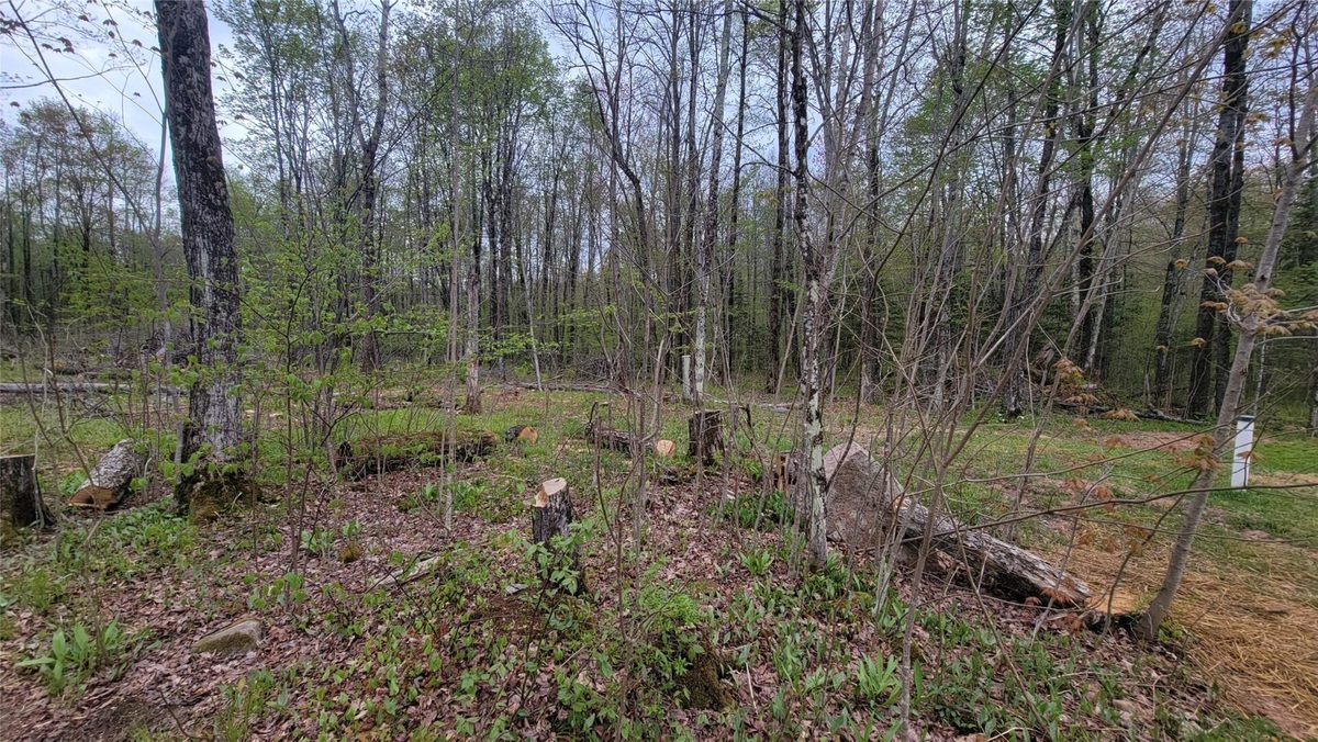 W10389 Fleming Road, Park Falls WI 54552 - Residential house for sale - MLS #1601372 - image16