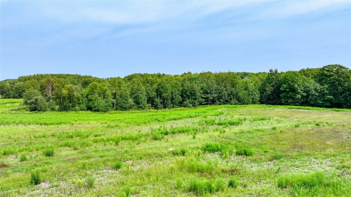 N1395 Grouse Road, Sarona WI 54870 - Residential house for sale - MLS #1603868 - image19