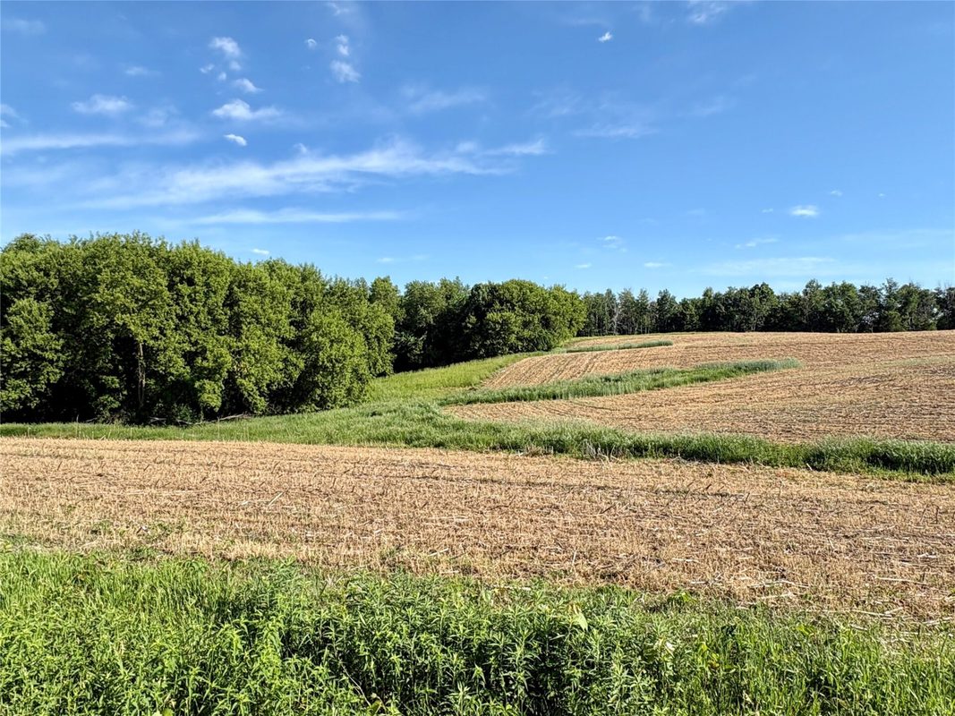 15.01 Acres 160th Avenue, Maiden Rock WI 54750 - Land house for sale - MLS #1604580 - image36