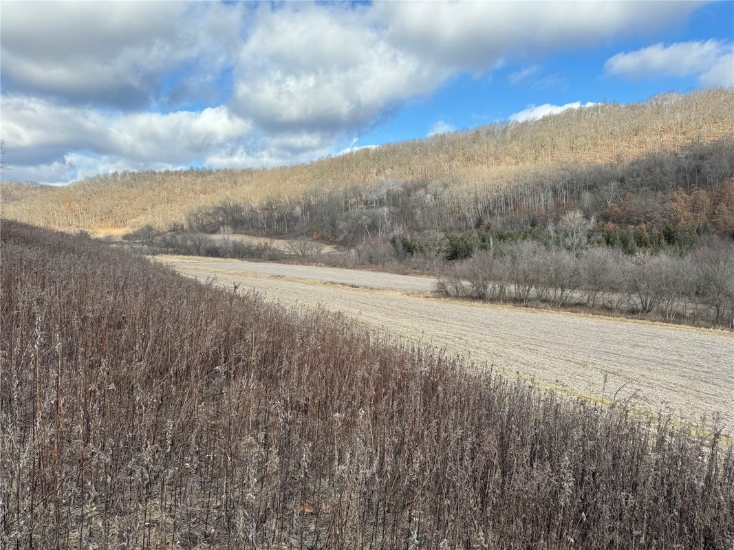 W1310 Earney Road, Alma WI 54610 - Residential house for sale - MLS #1604945 - image23