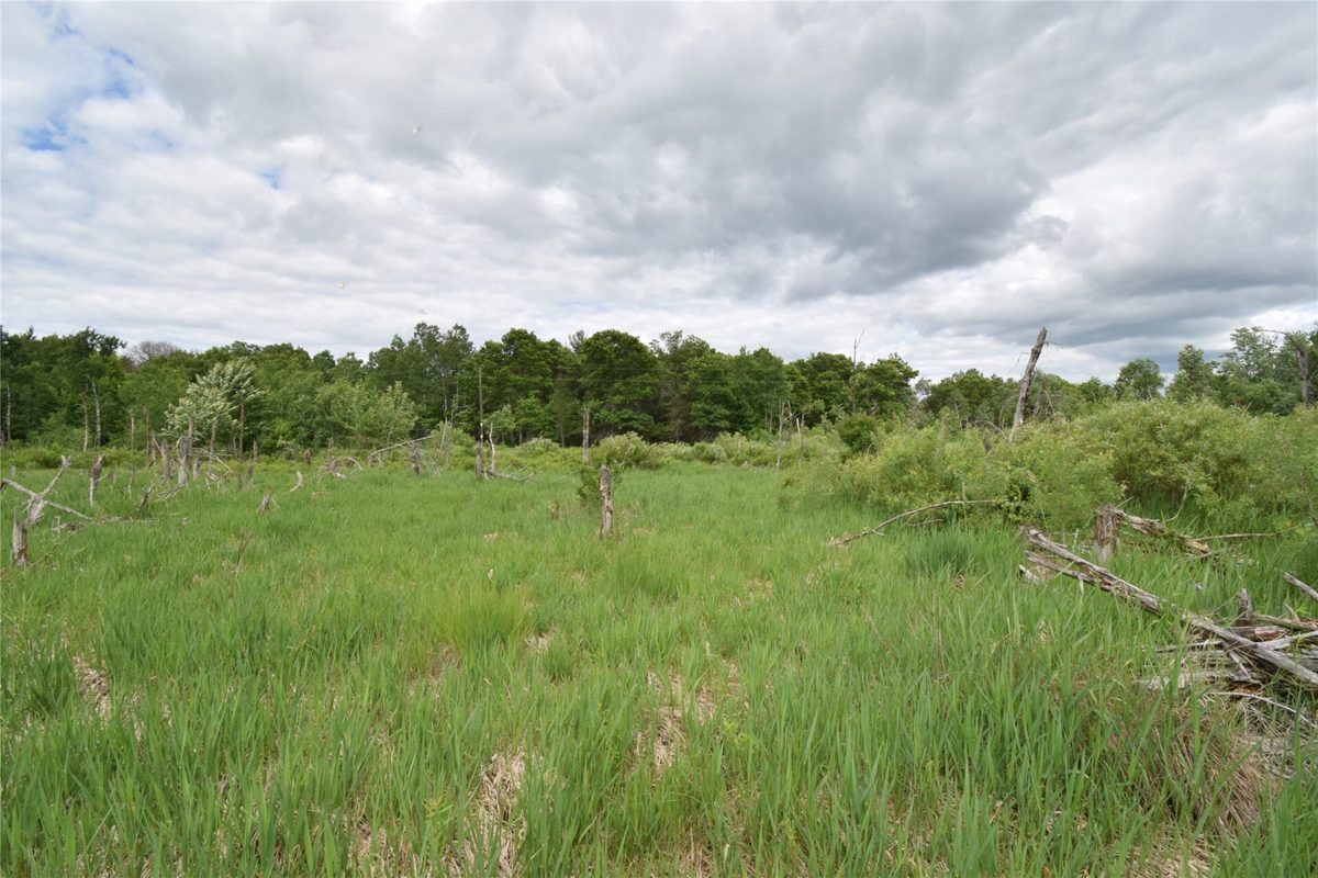 25385 Spaulding Road, Grantsburg WI 54840 - Land house for sale - MLS #1602394 - image6