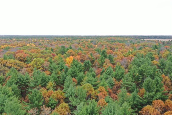 XXX Benson Road Grantsburg WI 54840