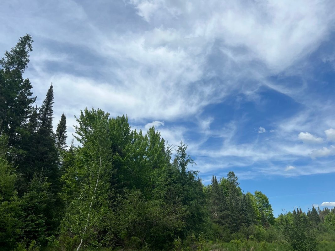 Lot 1 Smith Road, Couderay WI 54828 - Land house for sale - MLS #1601877 - image25