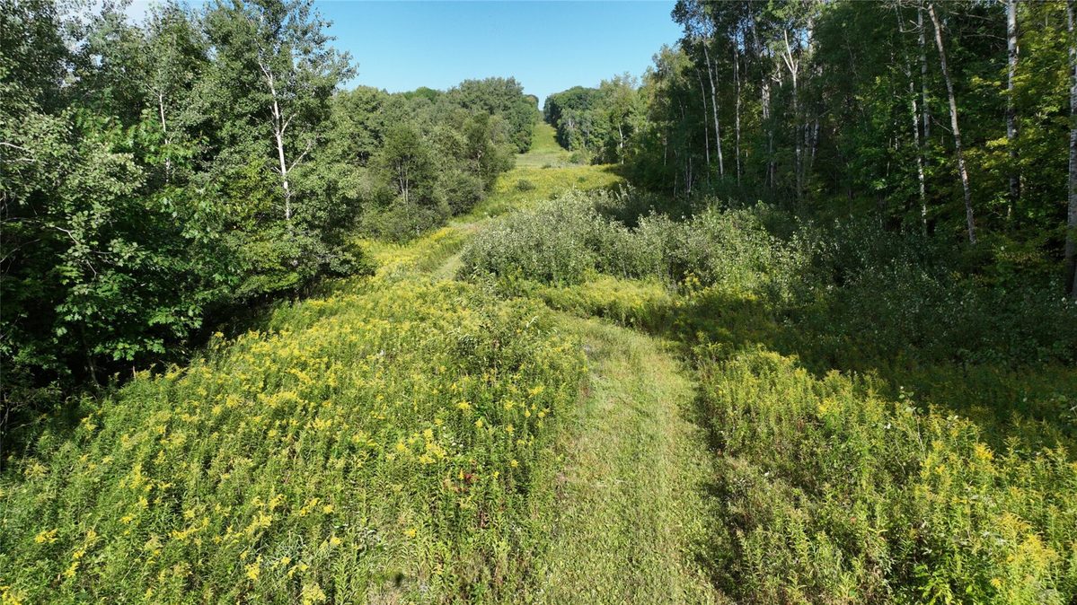 XX County Rd O, Boyceville WI 54725 - Land house for sale - MLS #1604881 - image18