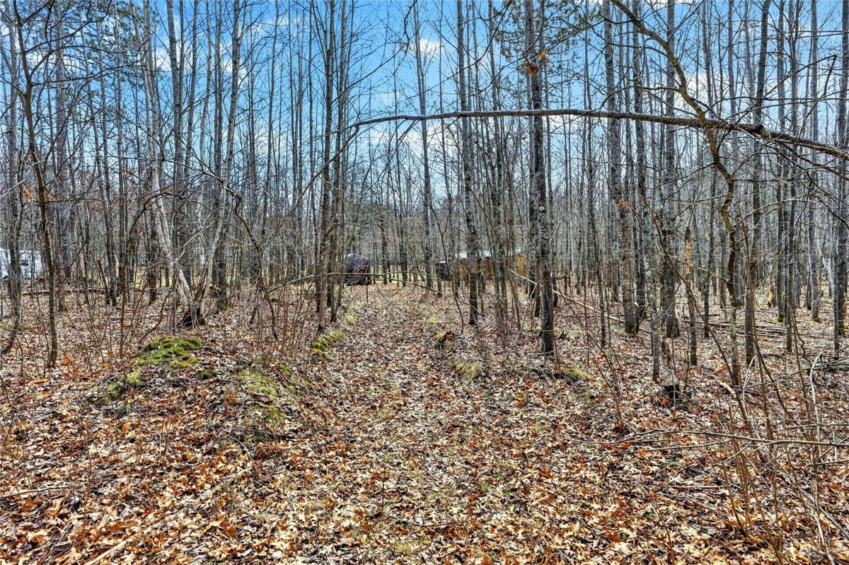 Residential at 000 Woodburn Avenue, Trego, WI 54888 — photo 6