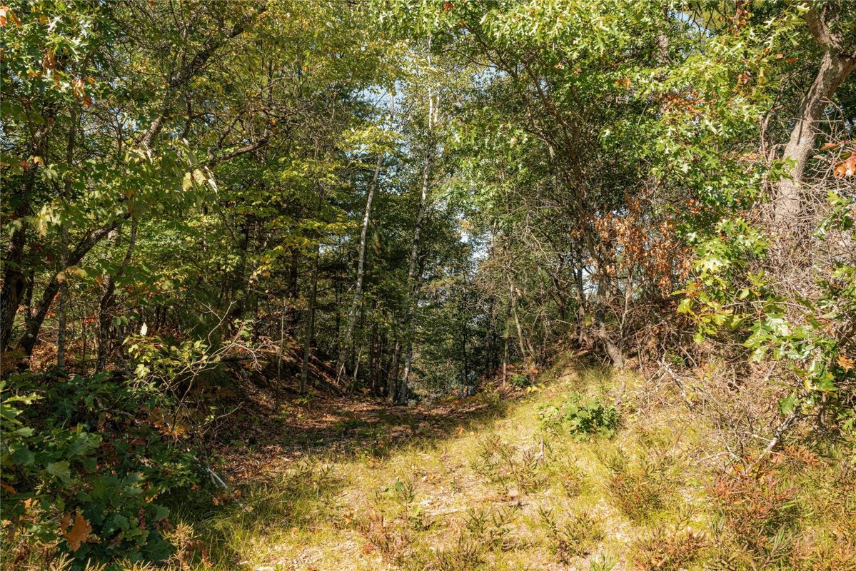 0 E Long Lake Road, Iron River WI 54856 - Land house for sale - MLS #1605717 - image12