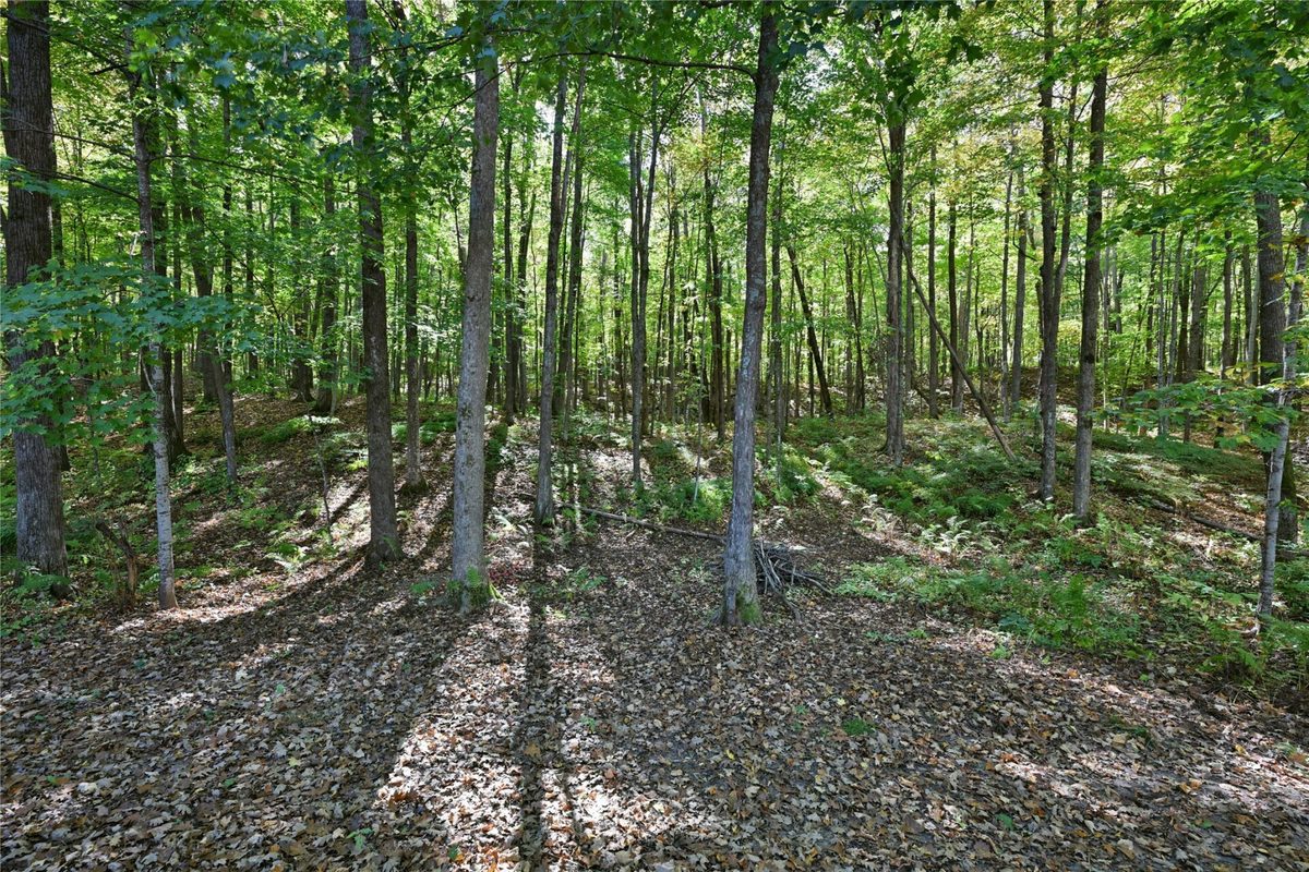W3917 County Highway D, Sarona WI 54870 - Residential house for sale - MLS #1605812 - image30