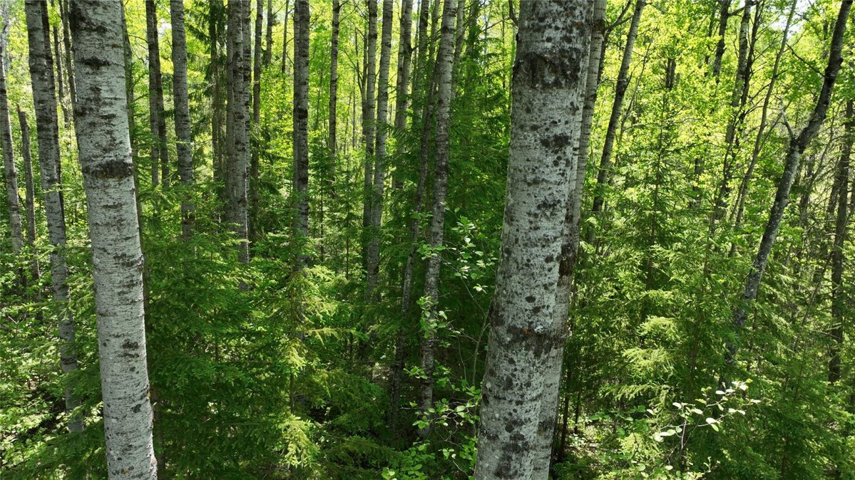 1640 County Road W, Superior WI 54880 - Land house for sale - MLS #1602205 - image29