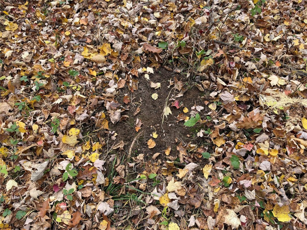 OOO Richfield Wood Road, Arpin WI 54410 - Land house for sale - MLS #1605936 - image27