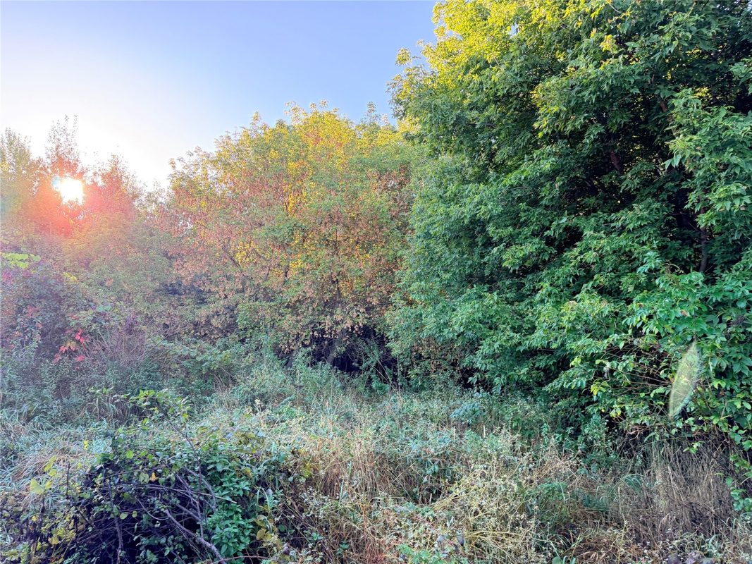 0 15th Avenue, Chippewa Falls WI 54729 - Land house for sale - MLS #1605583 - image5