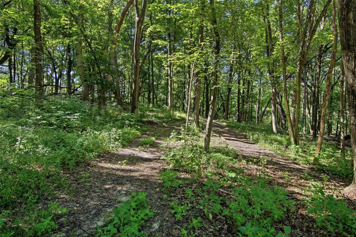 W245 Woodridge Drive, Eau Claire WI 54701 - Residential house for sale - MLS #1602701 - image50