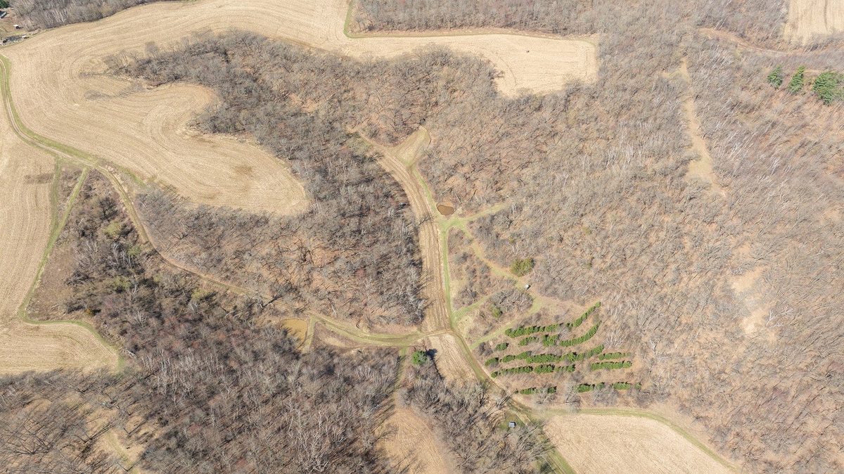 0 County Road S Blair WI 54616 — photo 27