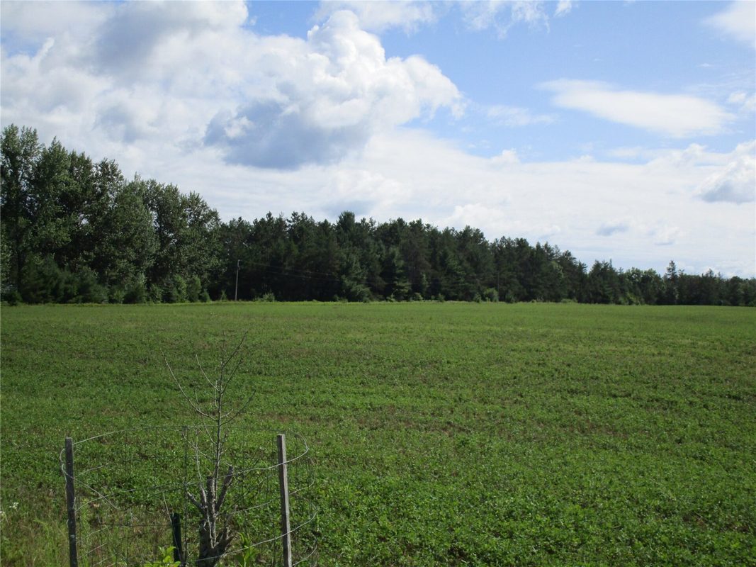 xx River Pine Drive, Ladysmith WI 54848 - Land house for sale - MLS #1601918 - image3