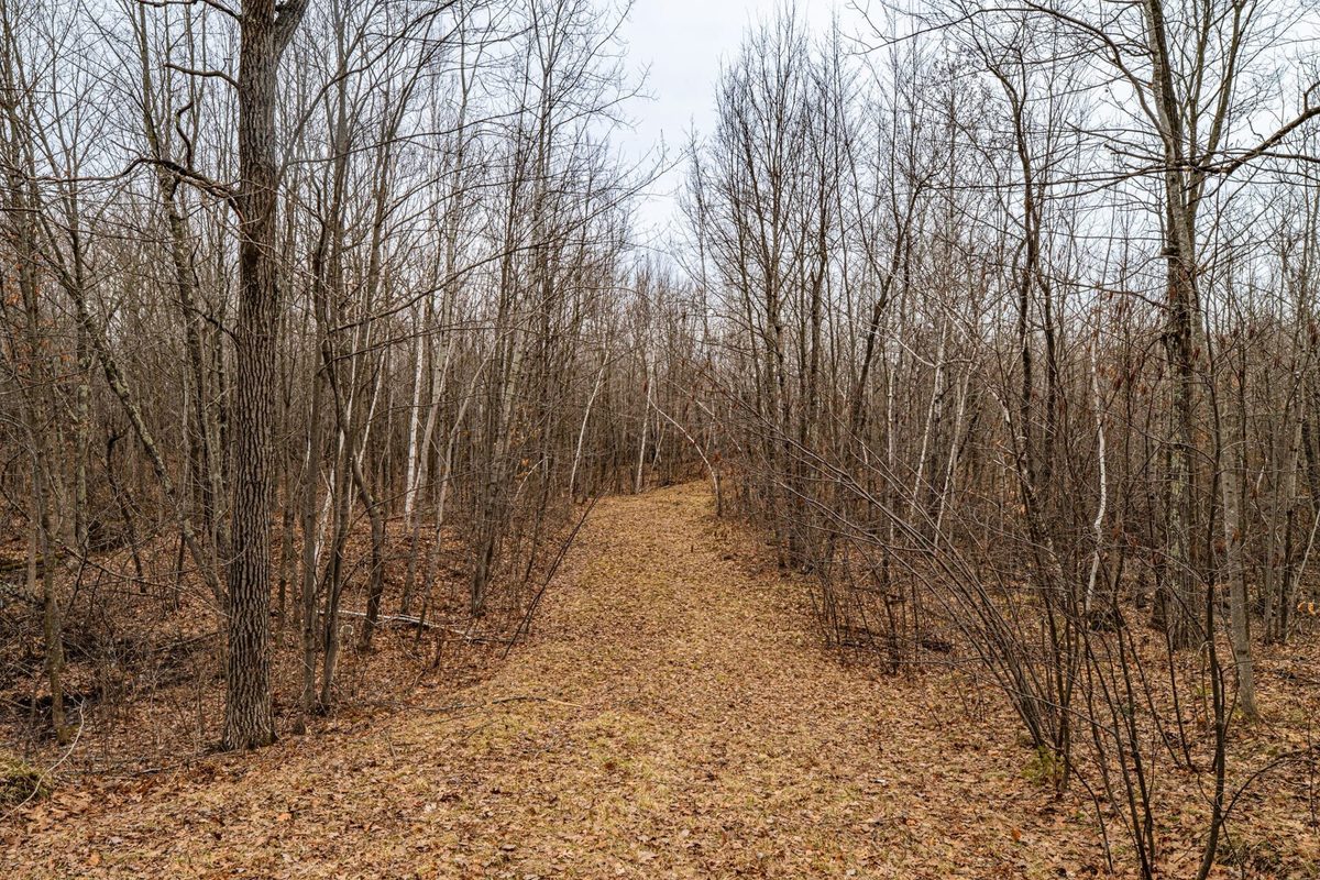 W2294 Highway 70  Spooner WI 54801 — photo 13