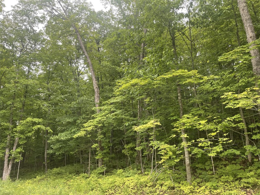 71224 Thole Road, Mellen WI 54546 - Residential house for sale - MLS #1602414 - image8
