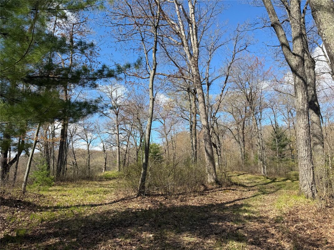 Lot 3 267th Avenue, New Auburn, WI — photo 13
