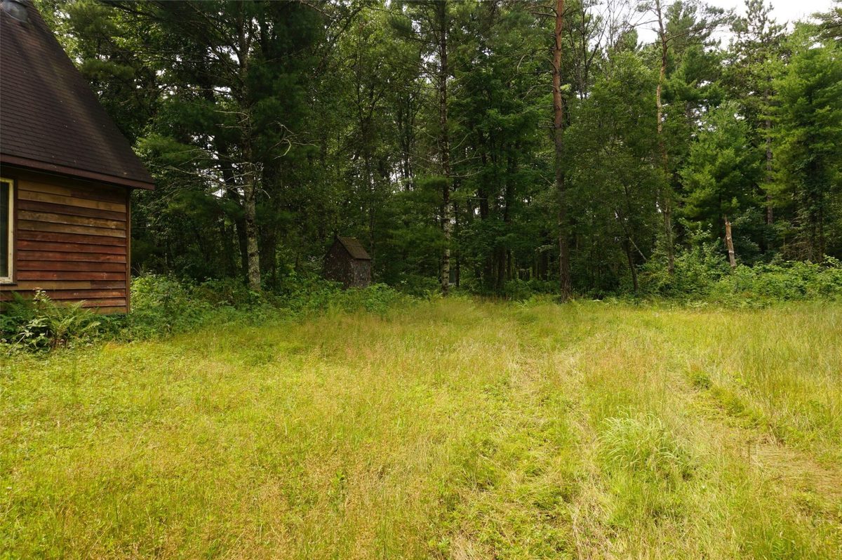 N9105 Flood Road, Black River Falls WI 54615 - Land house for sale - MLS #1603584 - image8