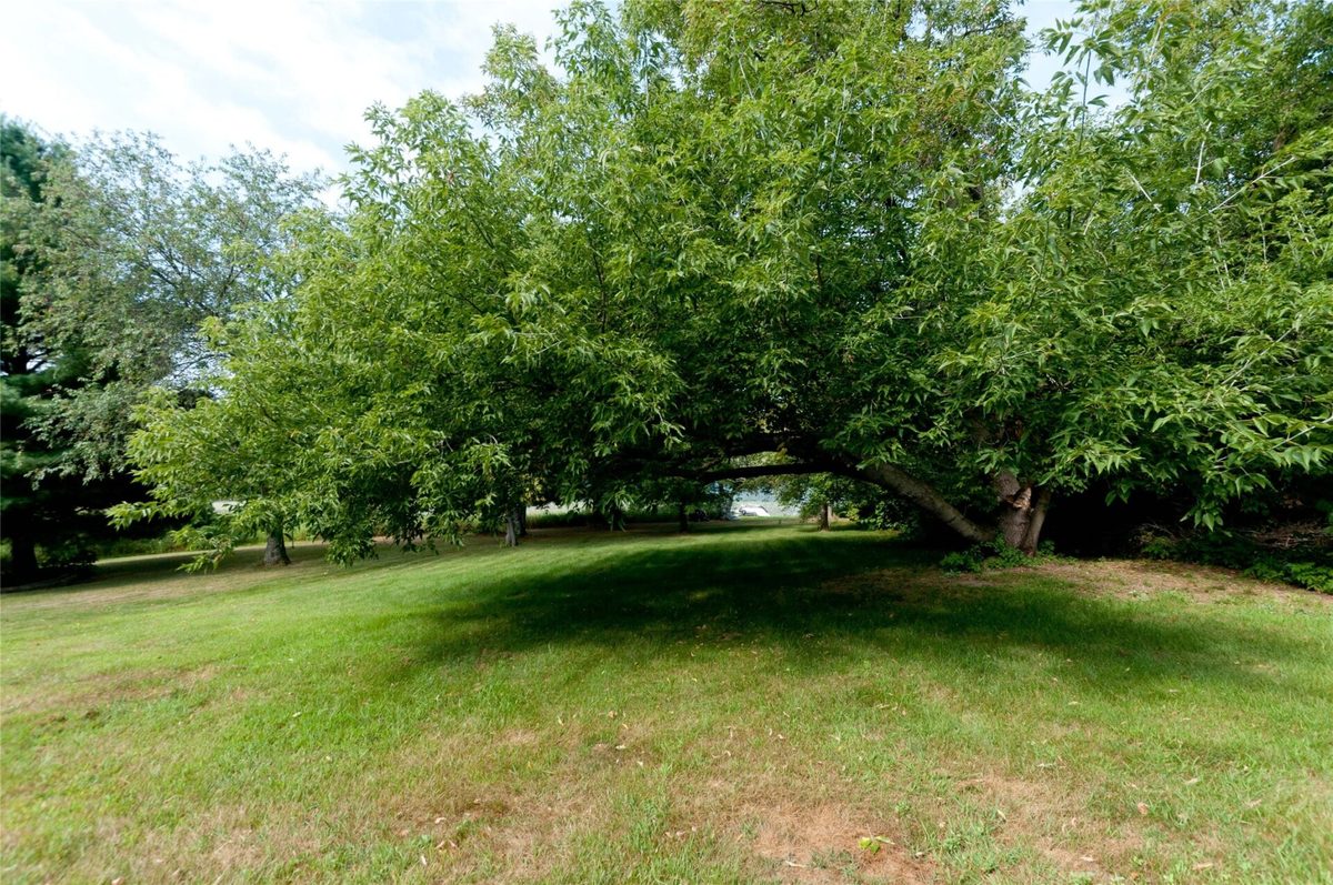 N2387 County Highway P, Sarona WI 54870 - Residential house for sale - MLS #1604210 - image20