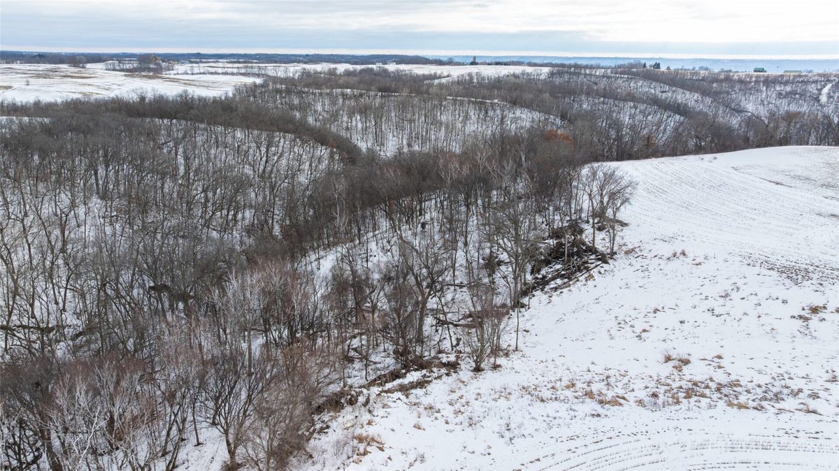 0 Maplewood Lane Alma WI 54610 — photo 20