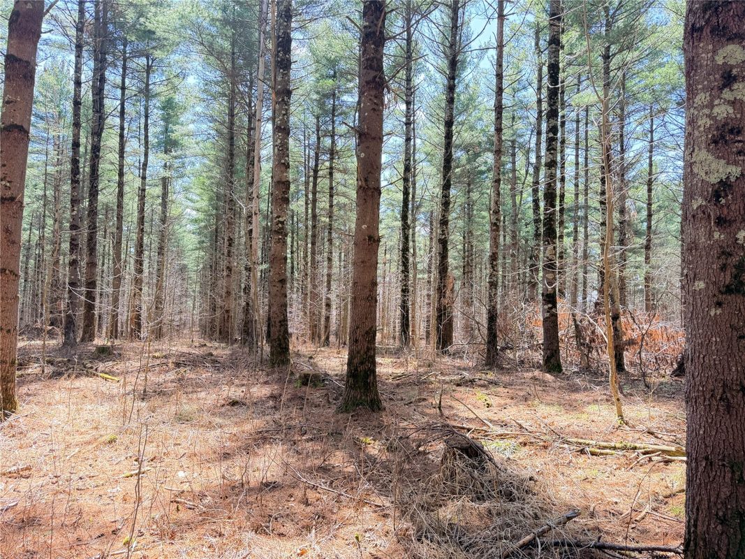 20 Acres Star Lake Road, Rice Lake, WI — photo 3