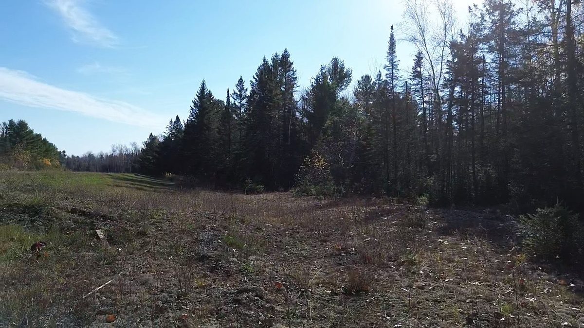 127XX State Highway 70, Couderay WI 54828 - Land house for sale - MLS #1606290 - image13