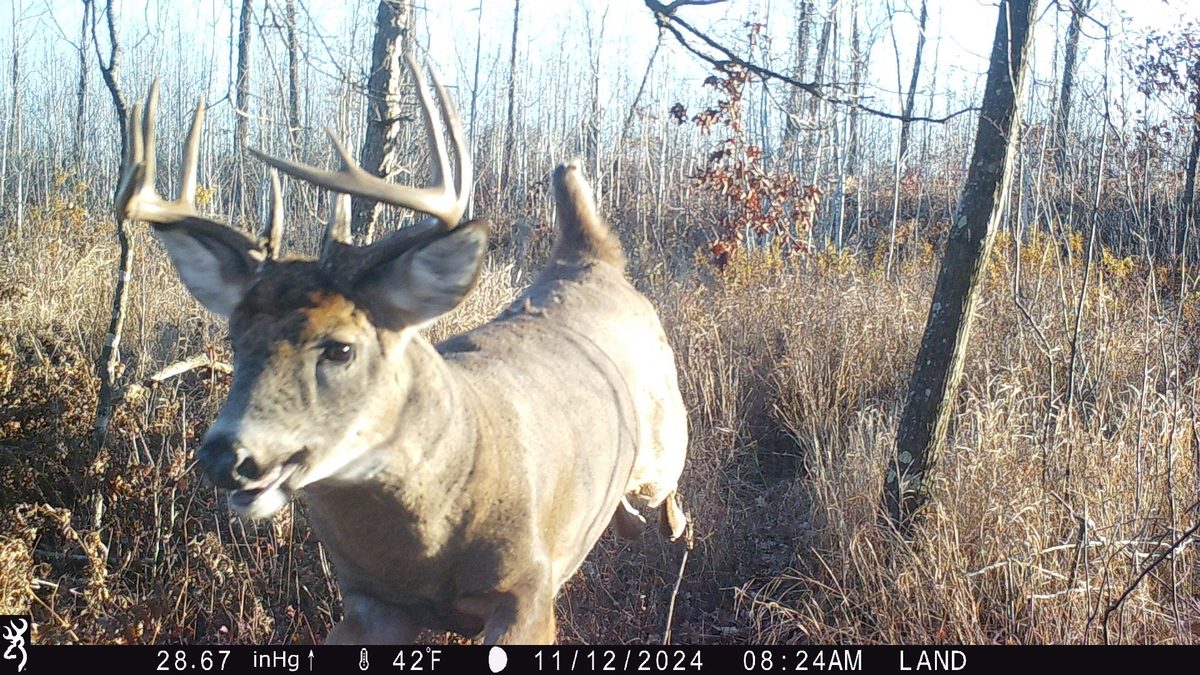 Lot 4 160th Avenue, Turtle Lake, WI — photo 3