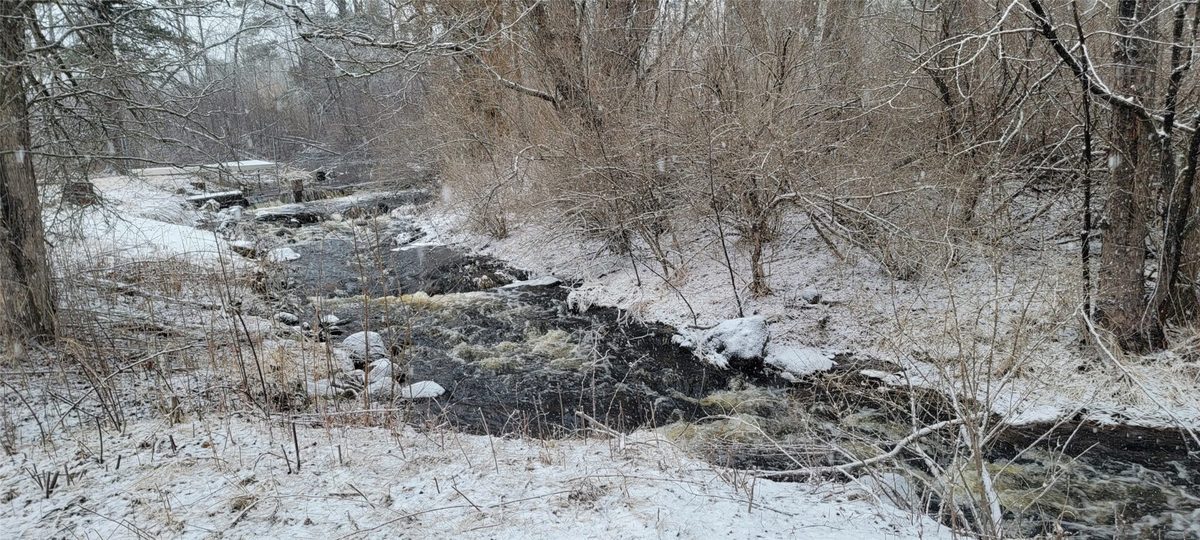 8725W River Road, Ojibwa WI 54862 - Land house for sale - MLS #1599647 - image19