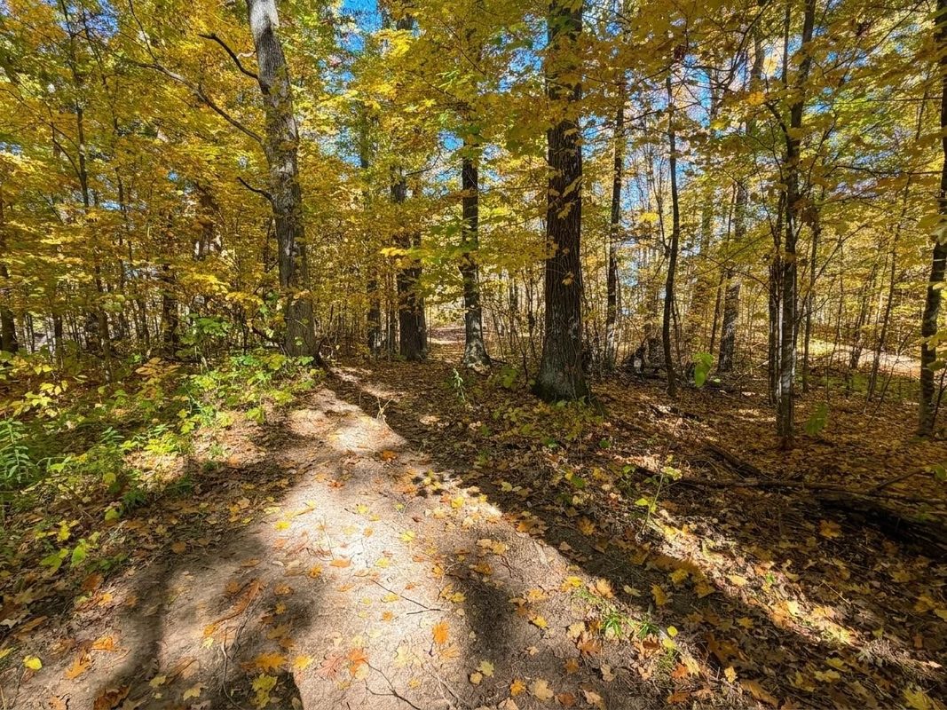 Lot 78, 79 Loons Landing Road, Weyerhaeuser WI 54895 - Land house for sale - MLS #1605876 - image3