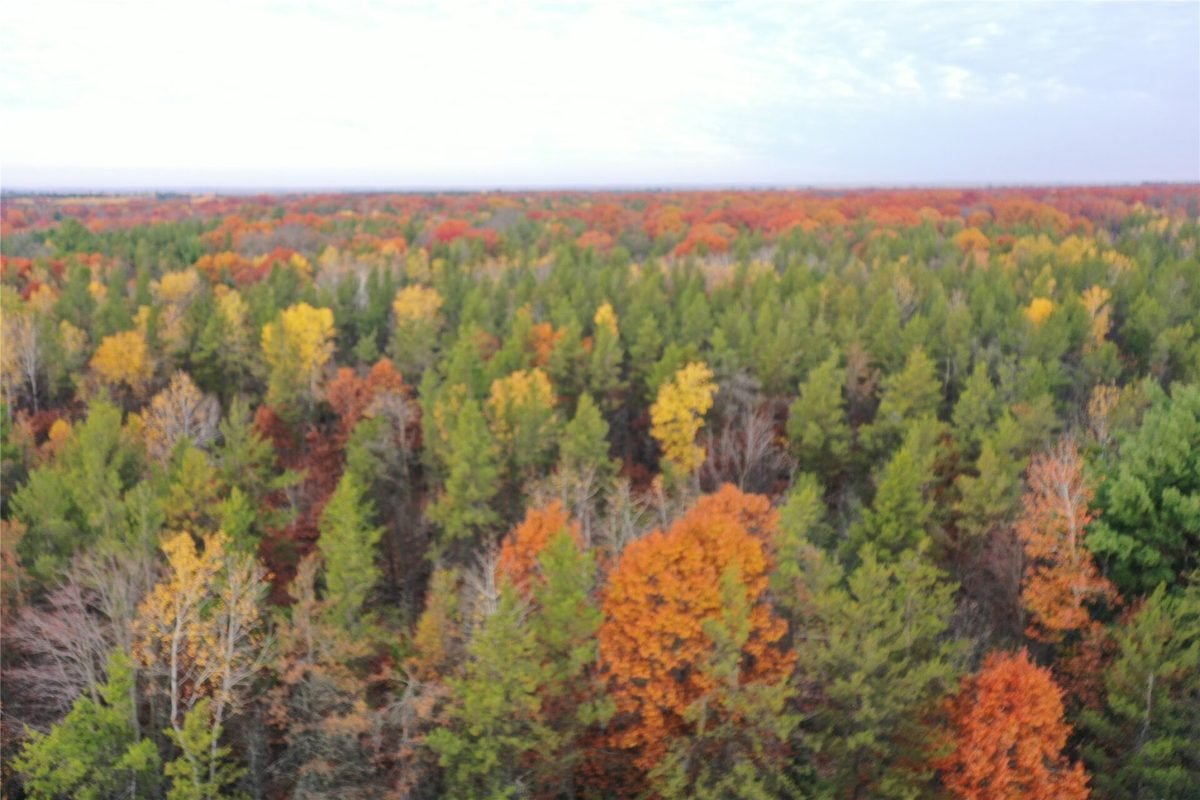 Lot 1 Spaulding Road, Grantsburg WI 54840 - Land house for sale - MLS #1606124 - image2