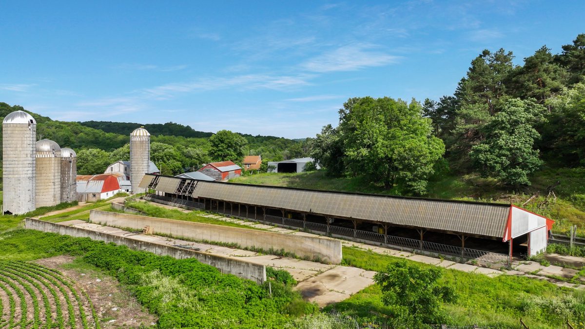 N3684 Claire Road Taylor WI 54659 — photo 34