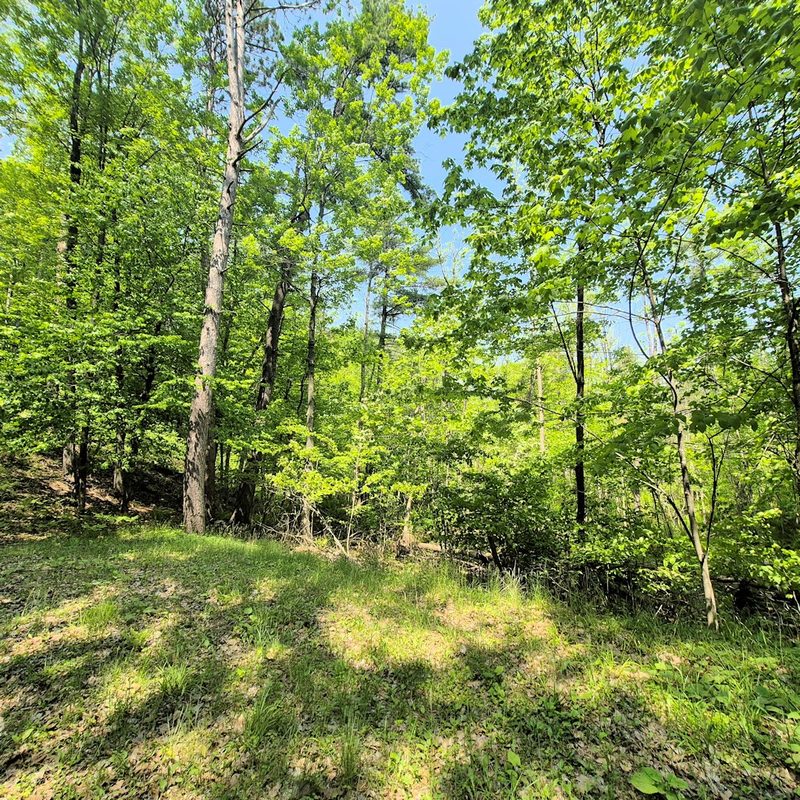 14954 Goss Road, Hayward WI 54843 - Residential house for sale - MLS #1599072 - image32
