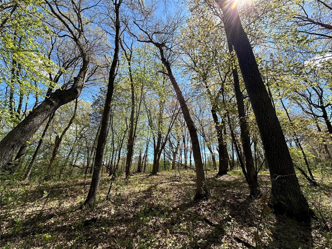 1438 Pleasant Hill Road, Eau Claire WI 54703 - Land house for sale - MLS #1602766 - image35