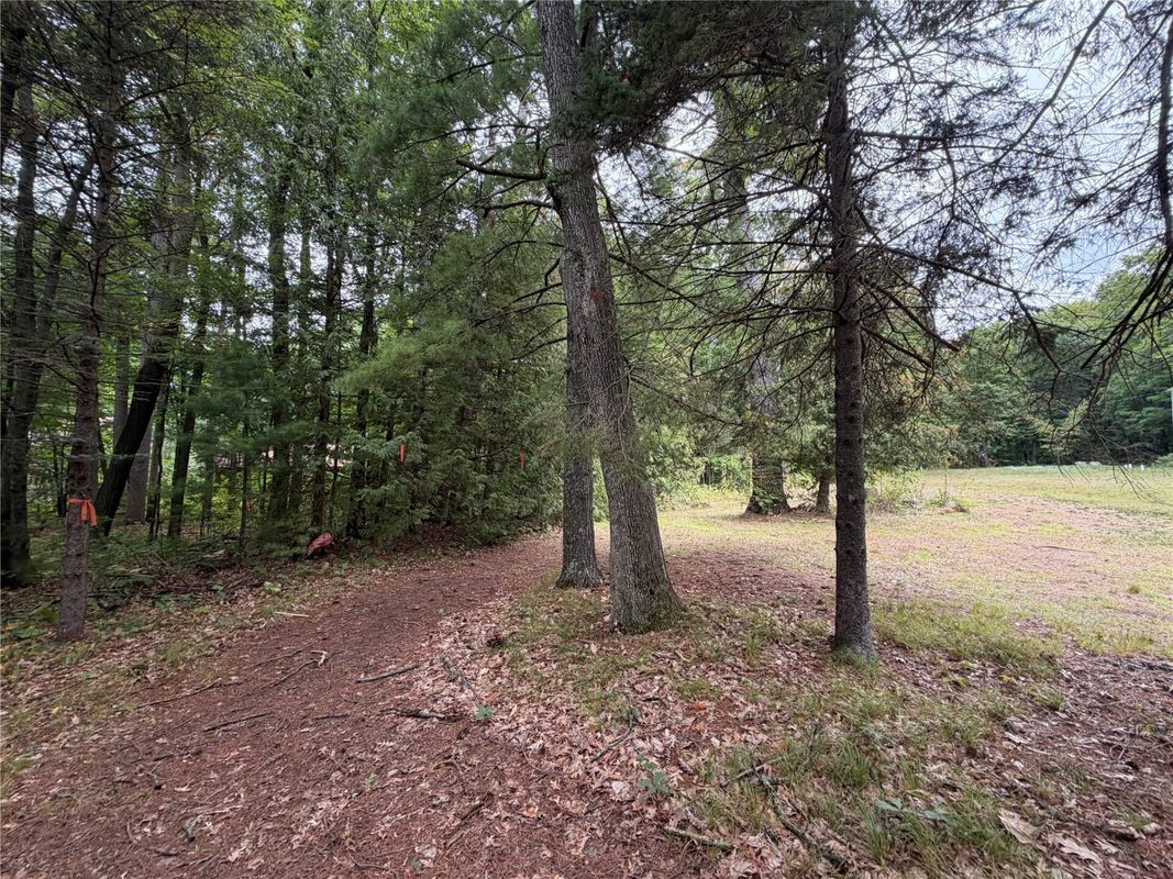 6073 Elsie Road, Stone Lake WI 54876 - Land house for sale - MLS #1602616 - image59