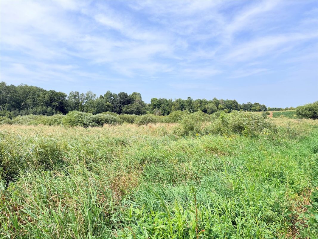 10 Acres Lot 4 230th Street, St Croix Falls WI 54024 - Land house for sale - MLS #1606210 - image21