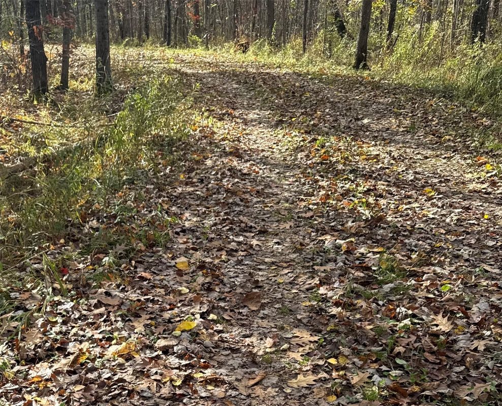 208220 Kane Lane, Mosinee WI 54455 - Land house for sale - MLS #1606074 - image20