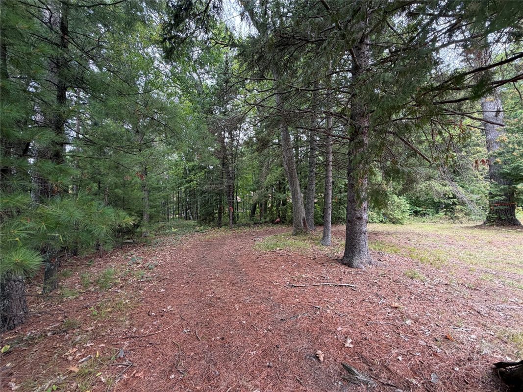 6073 Elsie Road, Stone Lake WI 54876 - Land house for sale - MLS #1602616 - image58