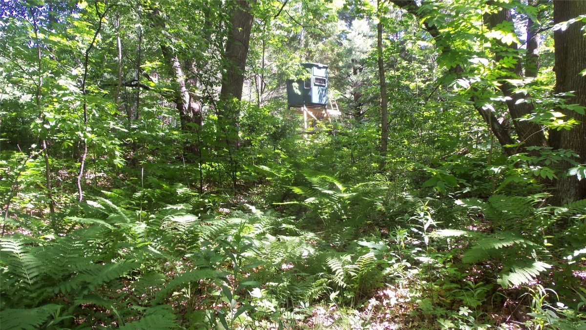 XXX Bashaw Store Road, Shell Lake WI 54871 - Land house for sale - MLS #1603494 - image25