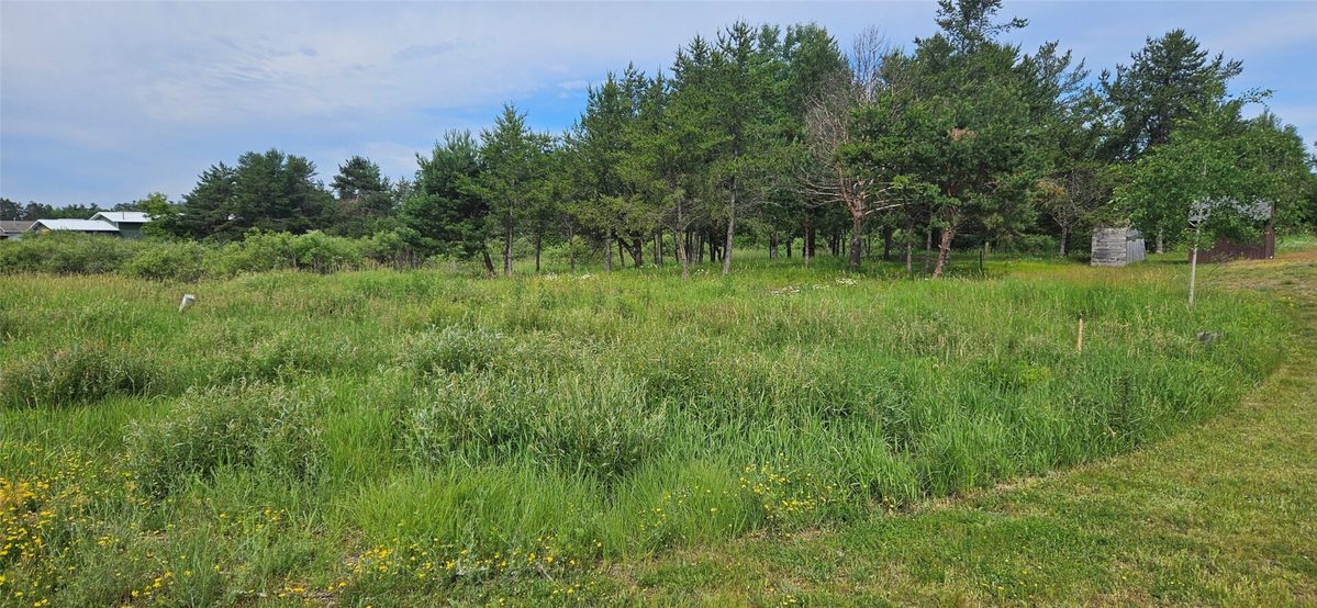 Lot A Windrose Lane, Hayward WI 54843 - Land house for sale - MLS #1602934 - image7