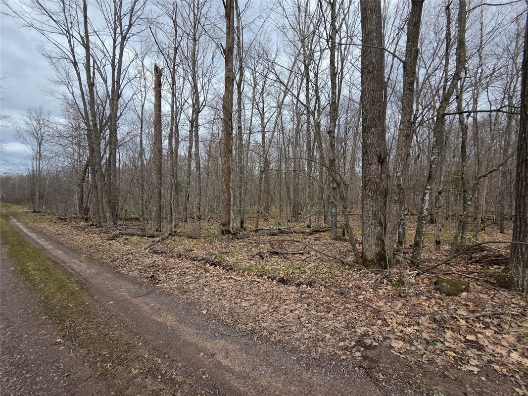 12XXX N Olson Road, Hayward, WI — photo 22