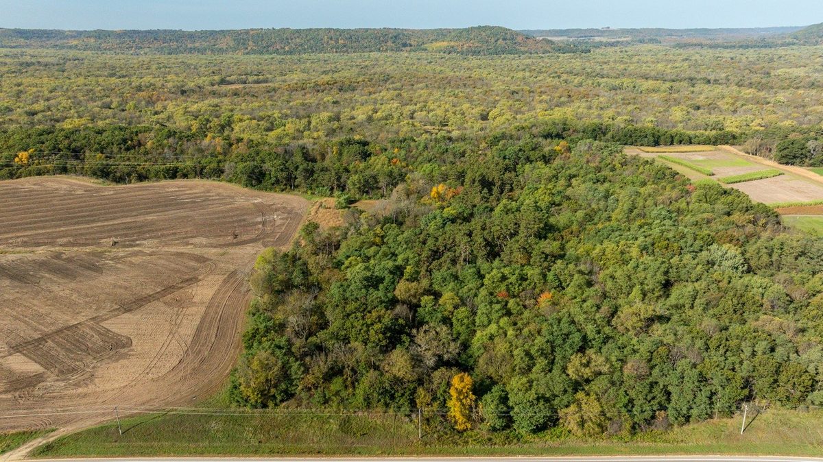 0 State Highway 25, Durand WI 54736 - Land house for sale - MLS #1605917 - image4