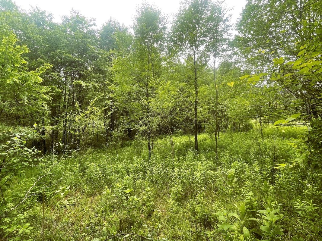 4715 Olson Drive, Eau Claire WI 54703 - Residential house for sale - MLS #1602171 - image13