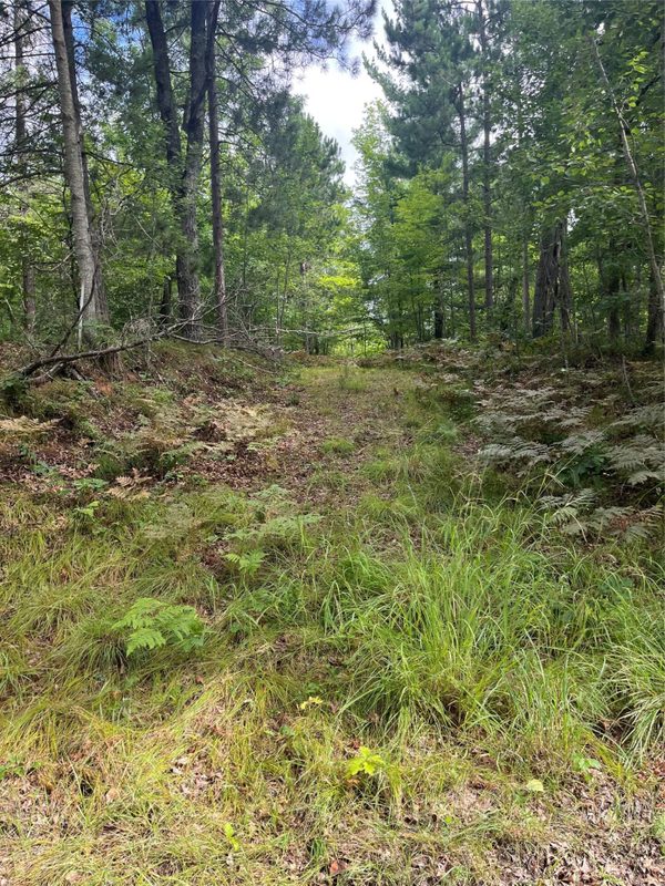 Lot 26 Half Moon Circle, Danbury WI 54830 - Land house for sale - MLS #1605155 - image15